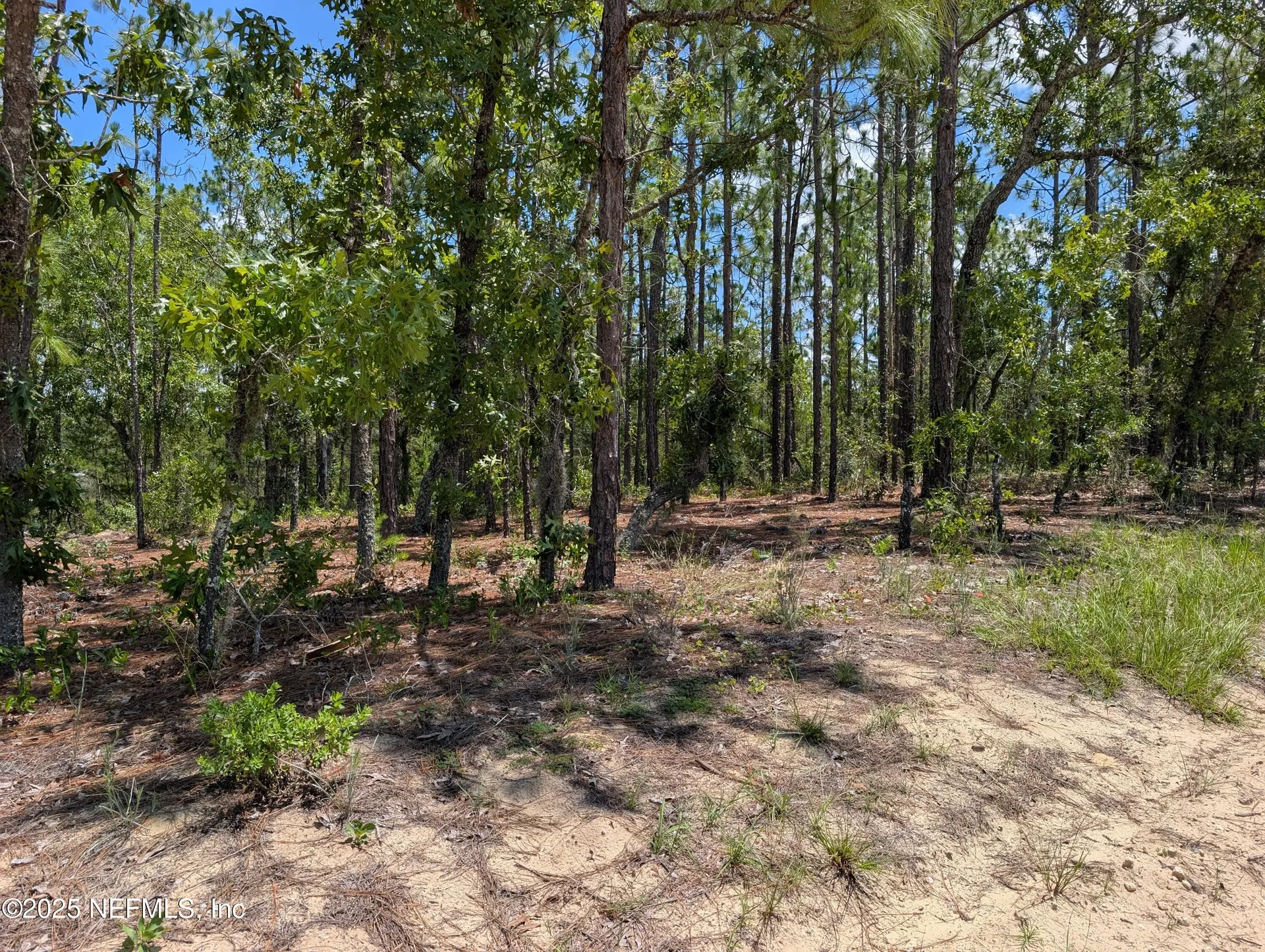 6218 Emory Avenue Keystone Heights FL 32656