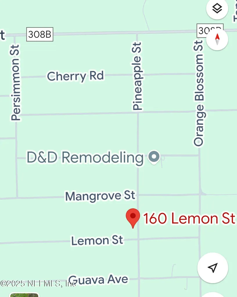 160 Lemon Street Pomona Park FL 32181