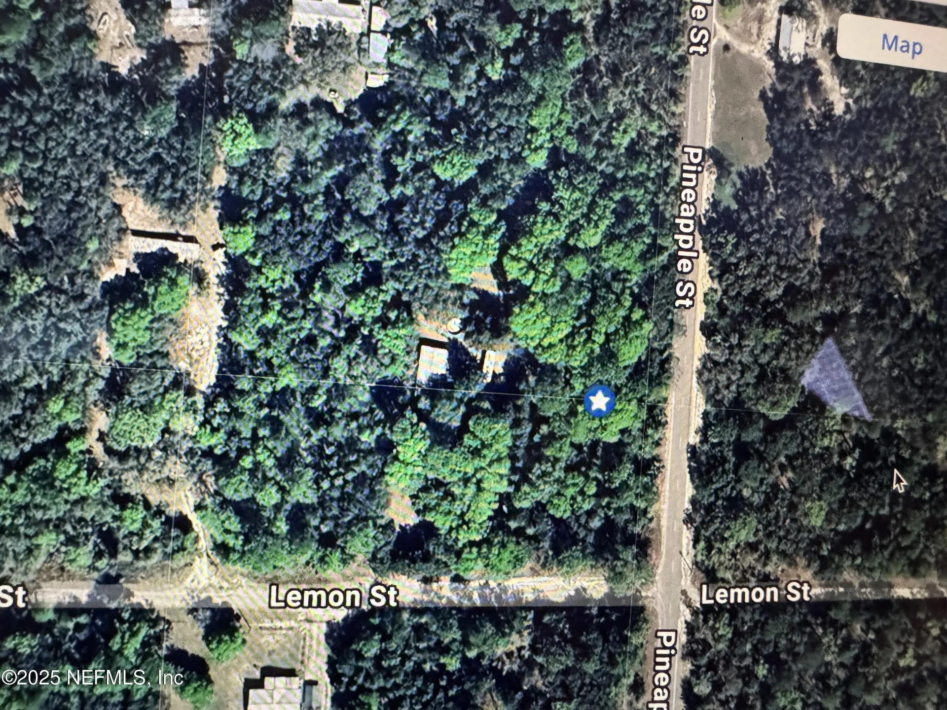 160 Lemon Street Pomona Park FL 32181