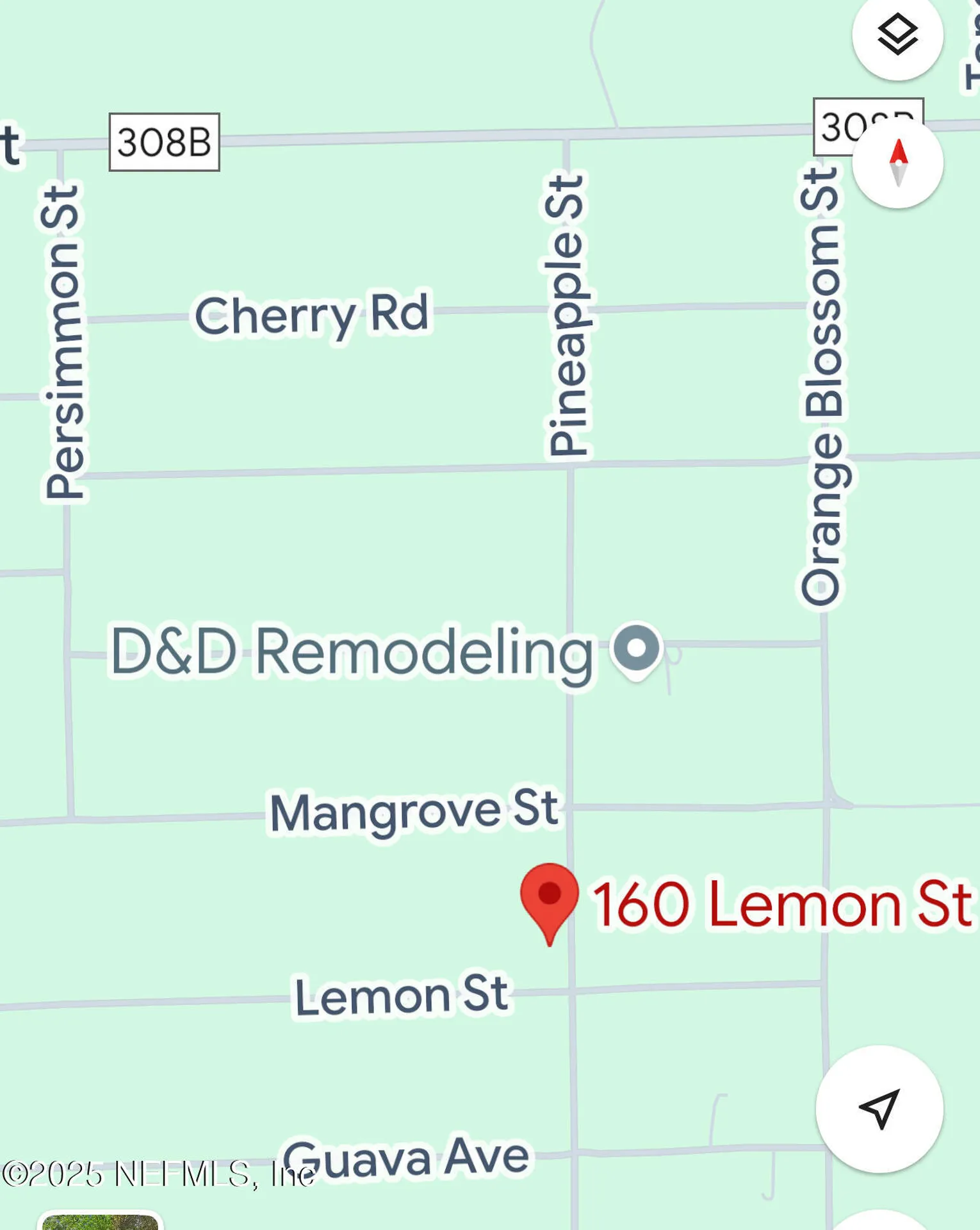 160 Lemon Street Pomona Park FL 32181