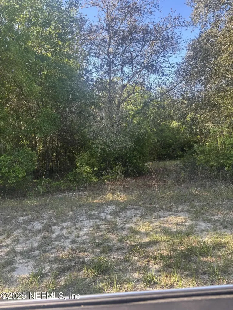 108 Tulip Court Hawthorne FL 32640