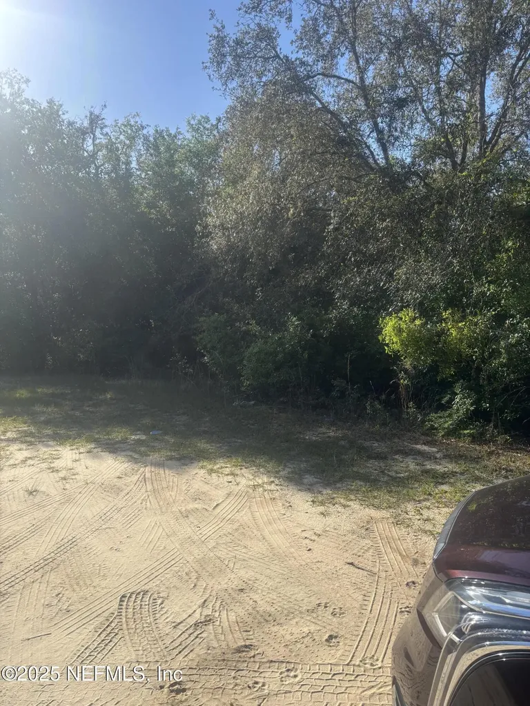108 Tulip Court Hawthorne FL 32640