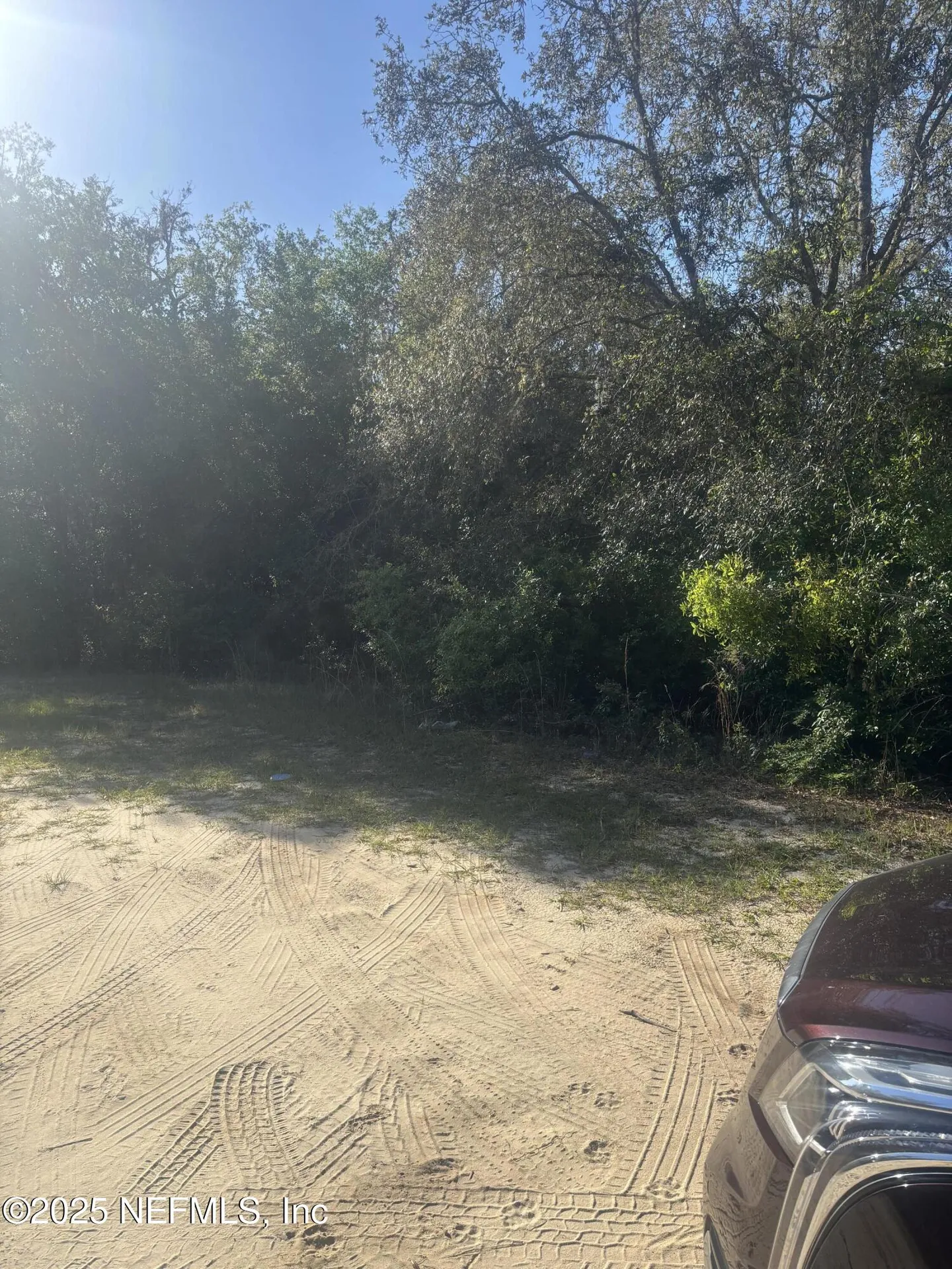 108 Tulip Court Hawthorne FL 32640