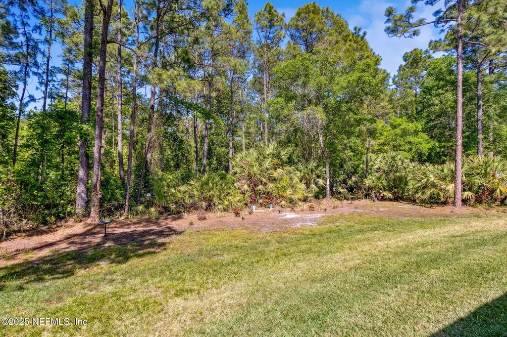 3541 Shinnecock Lane Green Cove Springs FL 32043