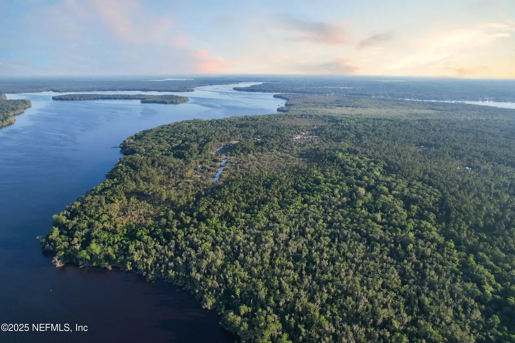 356 Drayton Island Road Georgetown FL 32139