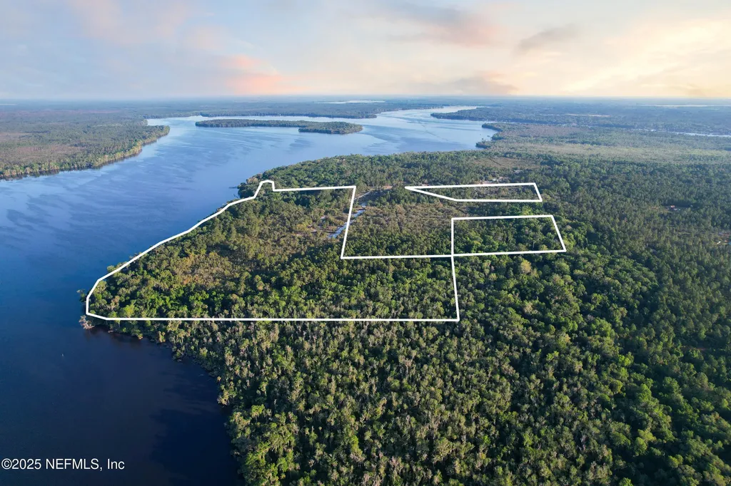 356 Drayton Island Road Georgetown FL 32139