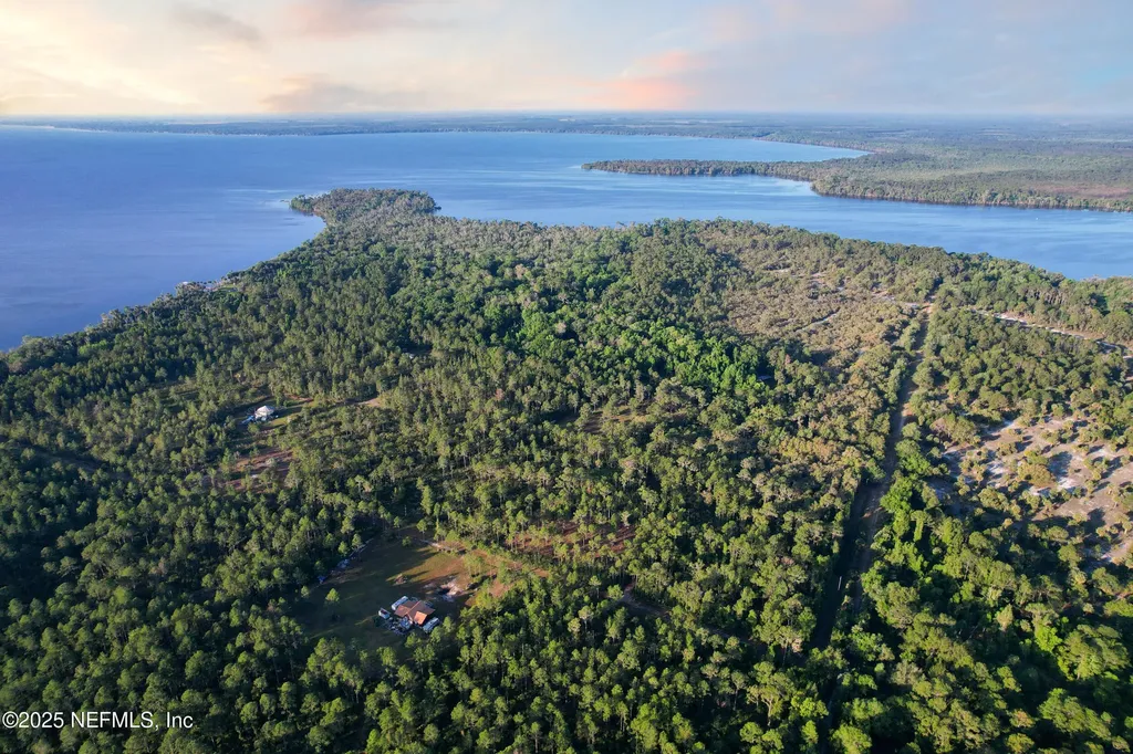 356 Drayton Island Road Georgetown FL 32139