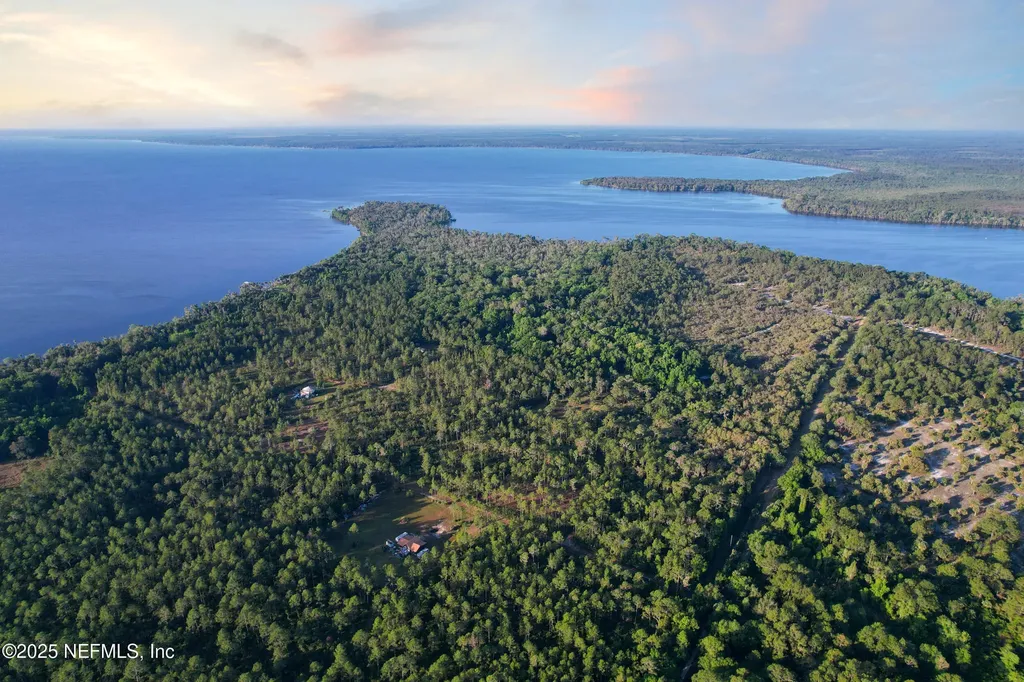 356 Drayton Island Road Georgetown FL 32139
