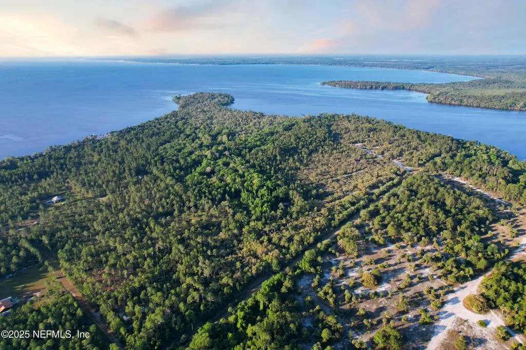 356 Drayton Island Road Georgetown FL 32139