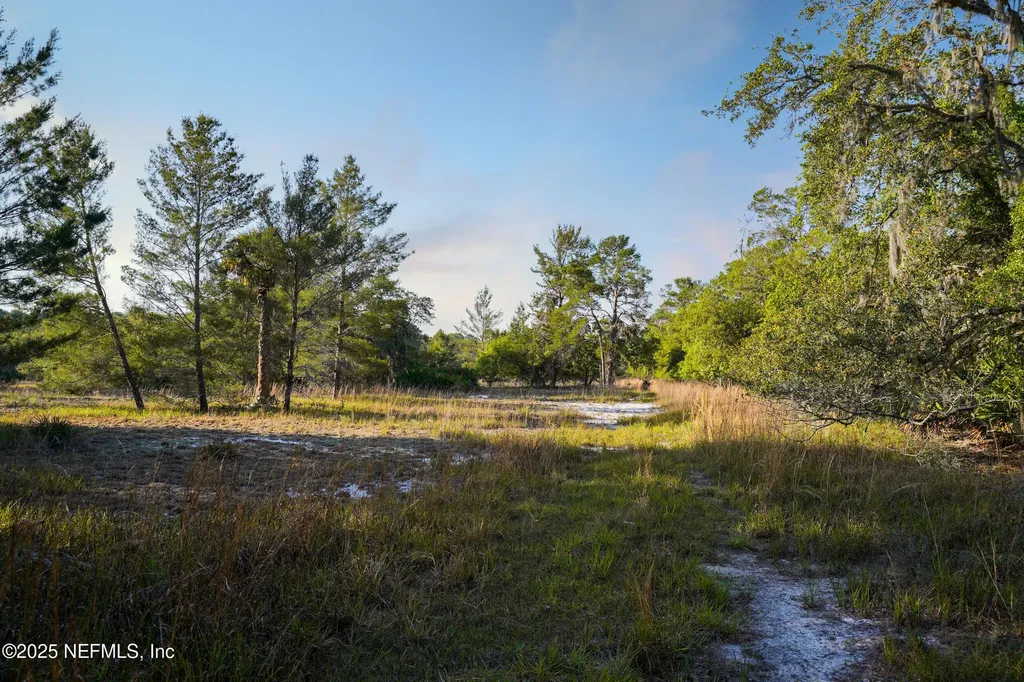 356 Drayton Island Road Georgetown FL 32139