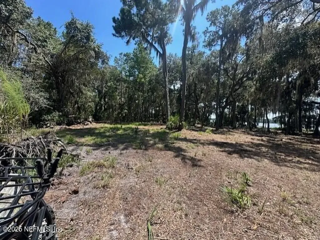 356 Drayton Island Road Georgetown FL 32139