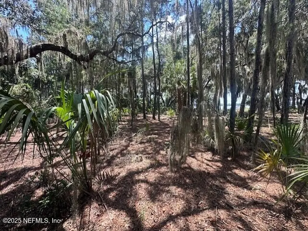 356 Drayton Island Road Georgetown FL 32139