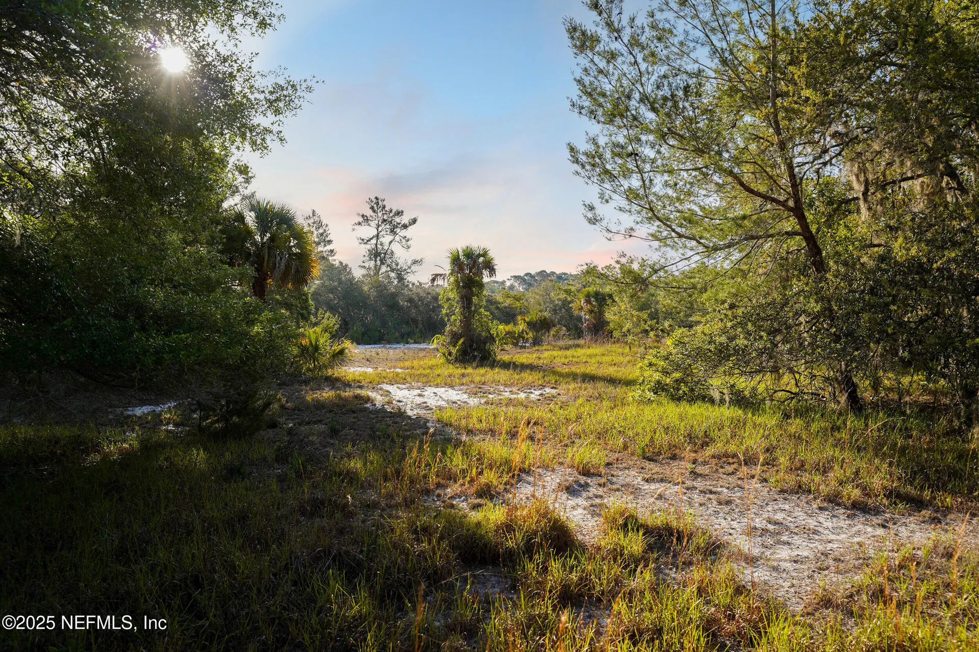356 Drayton Island Road Georgetown FL 32139