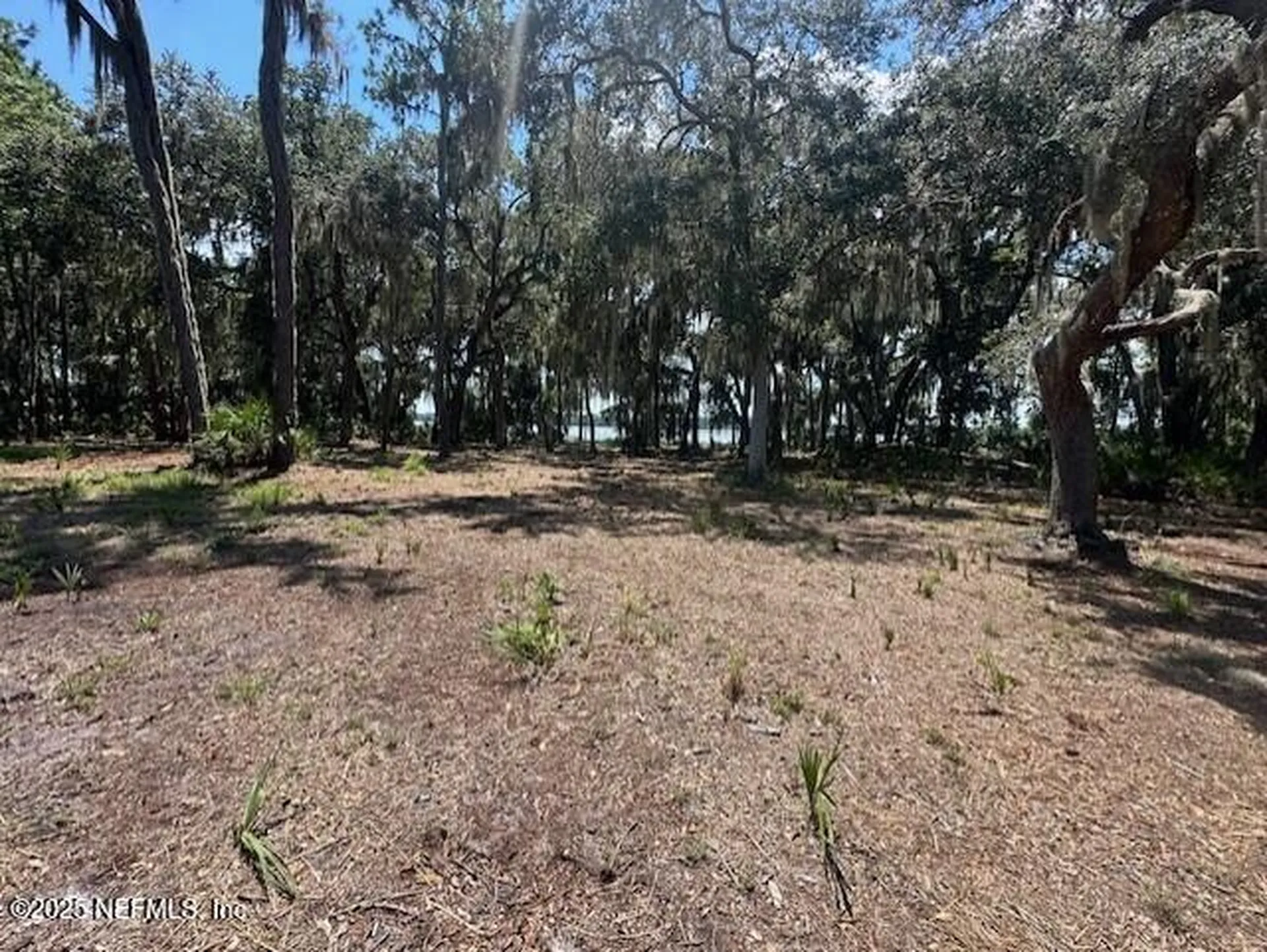356 Drayton Island Road Georgetown FL 32139