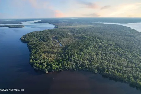 356 Drayton Island Road Georgetown FL 32139