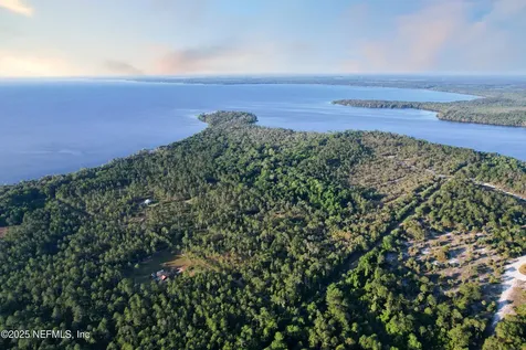 356 Drayton Island Road Georgetown FL 32139