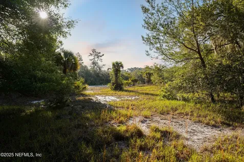 356 Drayton Island Road Georgetown FL 32139