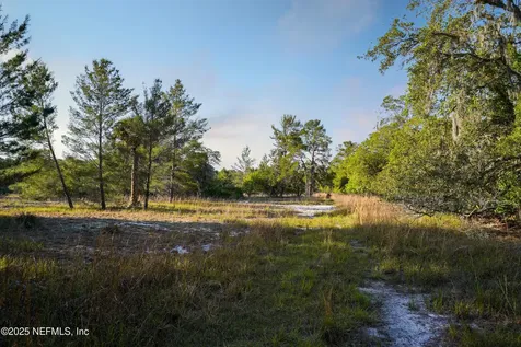 356 Drayton Island Road Georgetown FL 32139