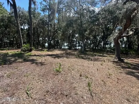 356 Drayton Island Road Georgetown FL 32139