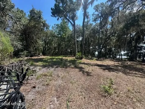 356 Drayton Island Road Georgetown FL 32139
