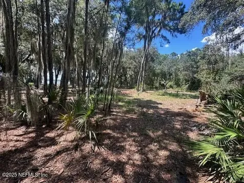356 Drayton Island Road Georgetown FL 32139