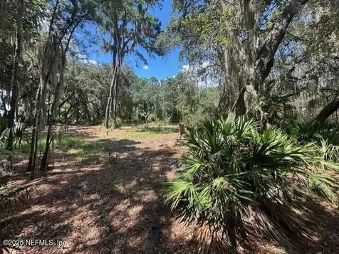 356 Drayton Island Road Georgetown FL 32139