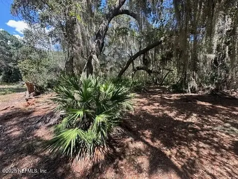 356 Drayton Island Road Georgetown FL 32139