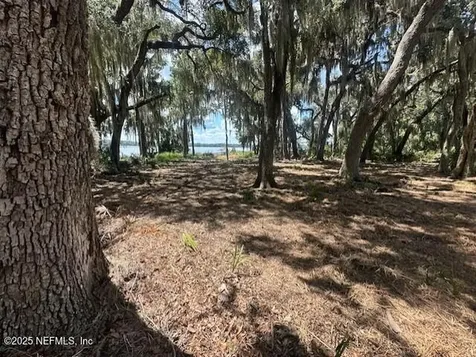 356 Drayton Island Road Georgetown FL 32139