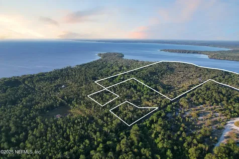 356 Drayton Island Road Georgetown FL 32139
