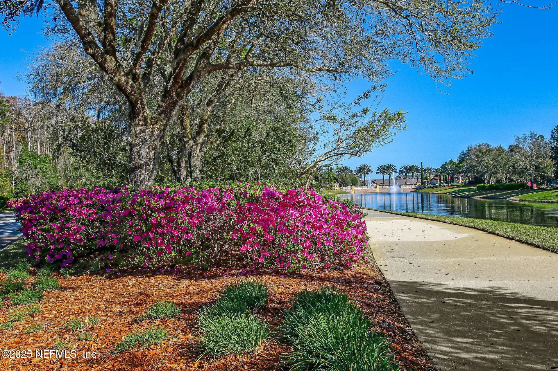 9831 Del Webb Parkway Jacksonville FL 32256