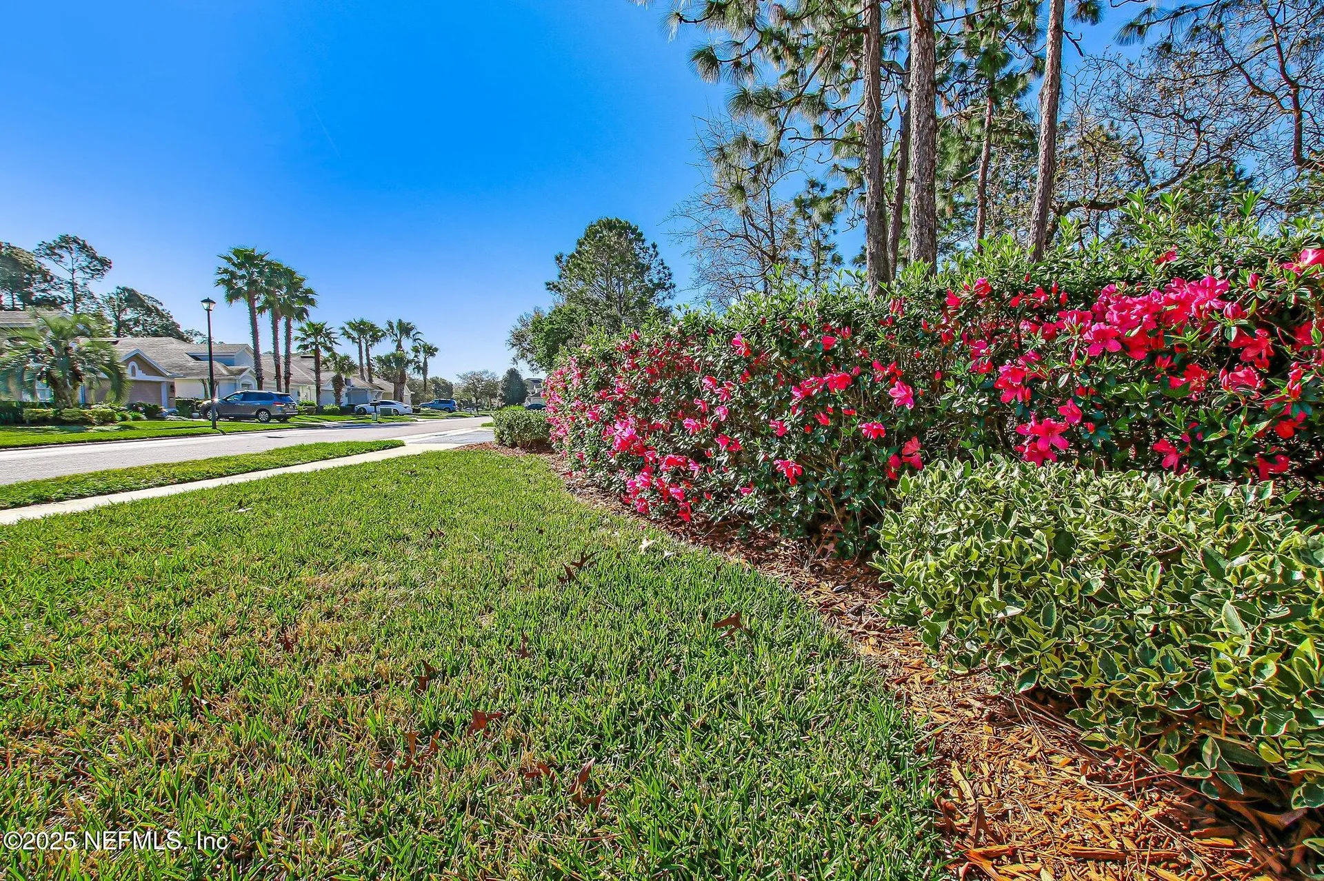 9831 Del Webb Parkway Jacksonville FL 32256