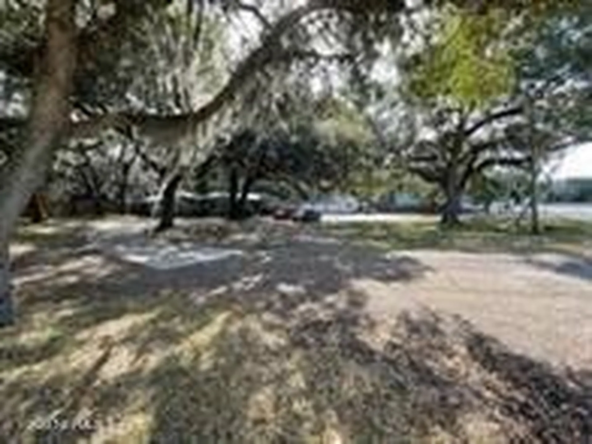 608 N 14th Street Fernandina Beach FL 32034
