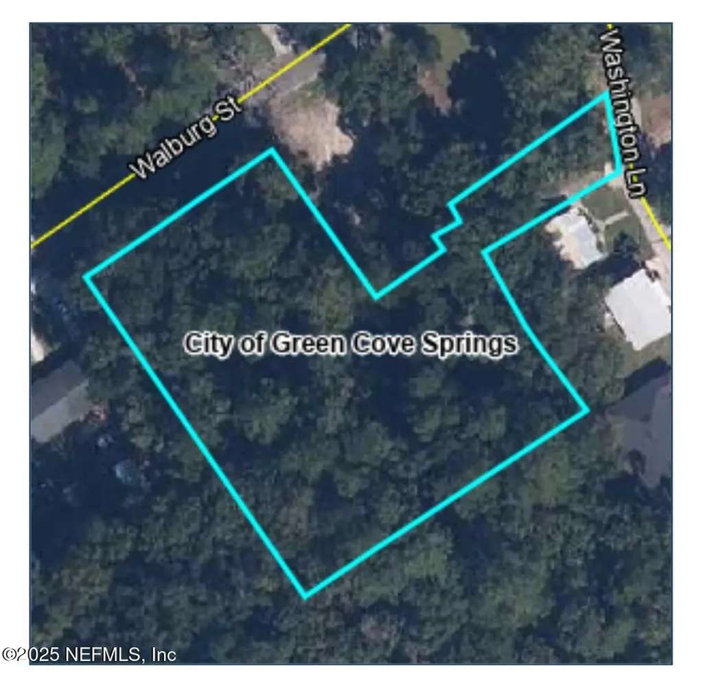 0 Walburg Street Green Cove Springs FL 32043