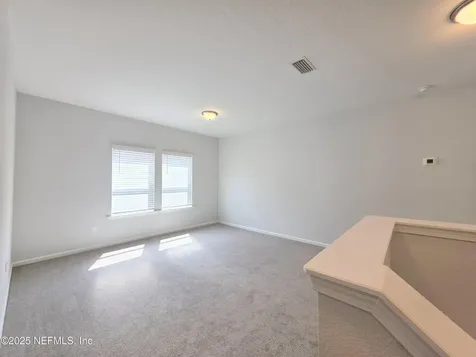 611 Ivory Palm Road Orange Park FL 32073