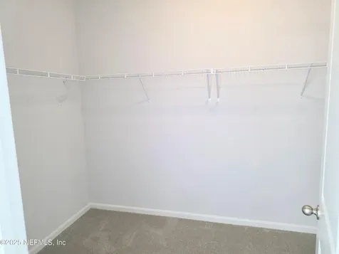 611 Ivory Palm Road Orange Park FL 32073