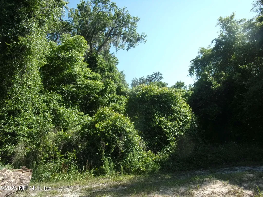 000 Edgemoor Trail Palatka FL 32177