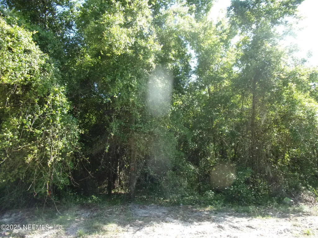 000 Edgemoor Trail Palatka FL 32177