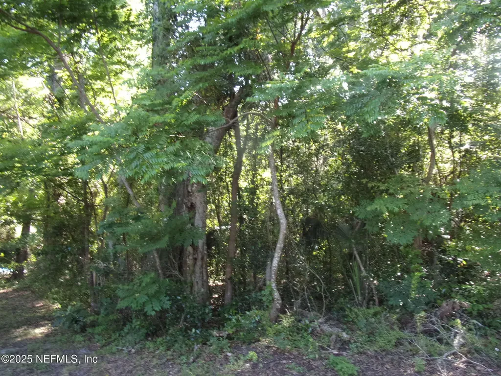 000 Edgemoor Trail Palatka FL 32177