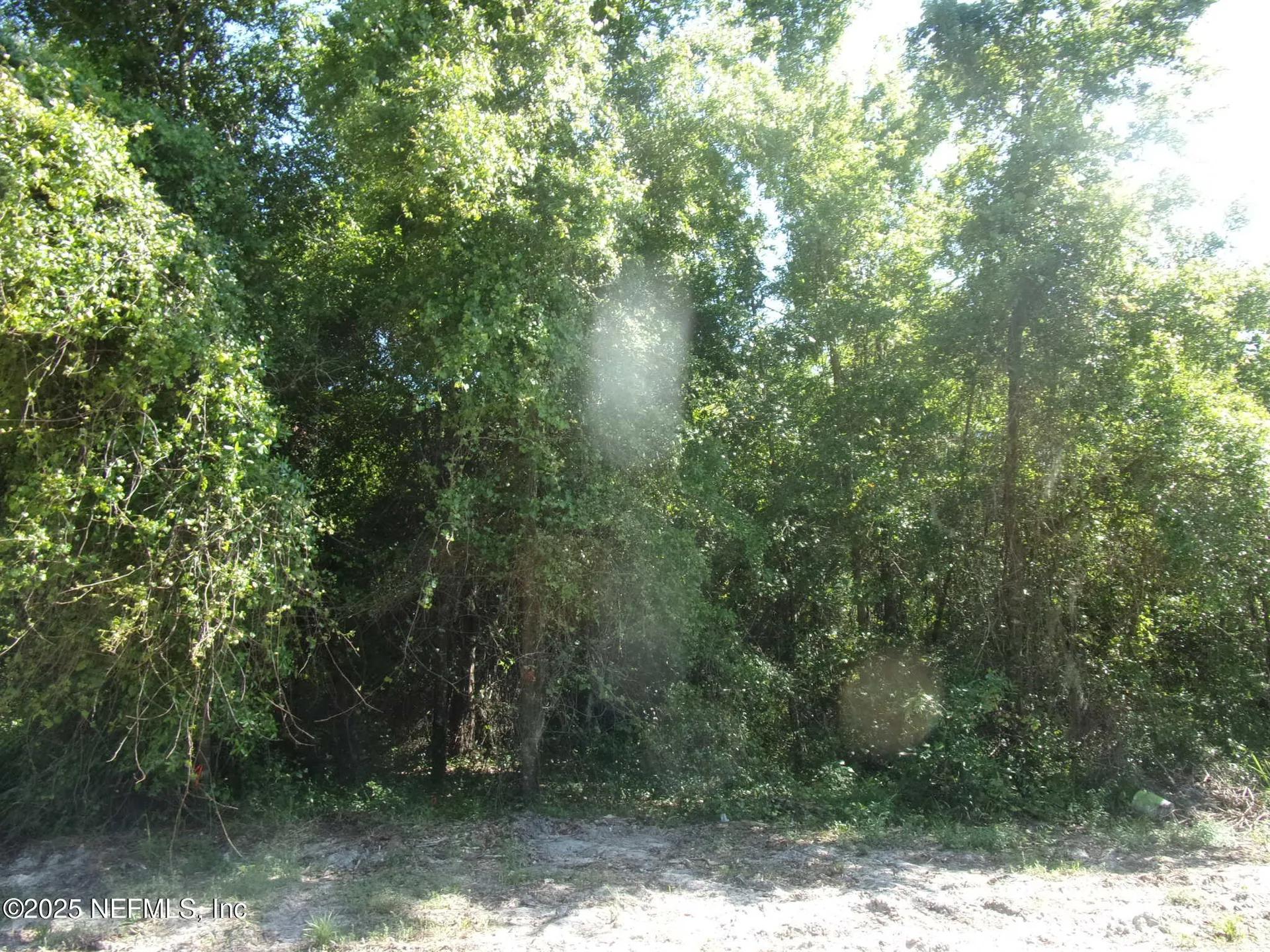 000 Edgemoor Trail Palatka FL 32177