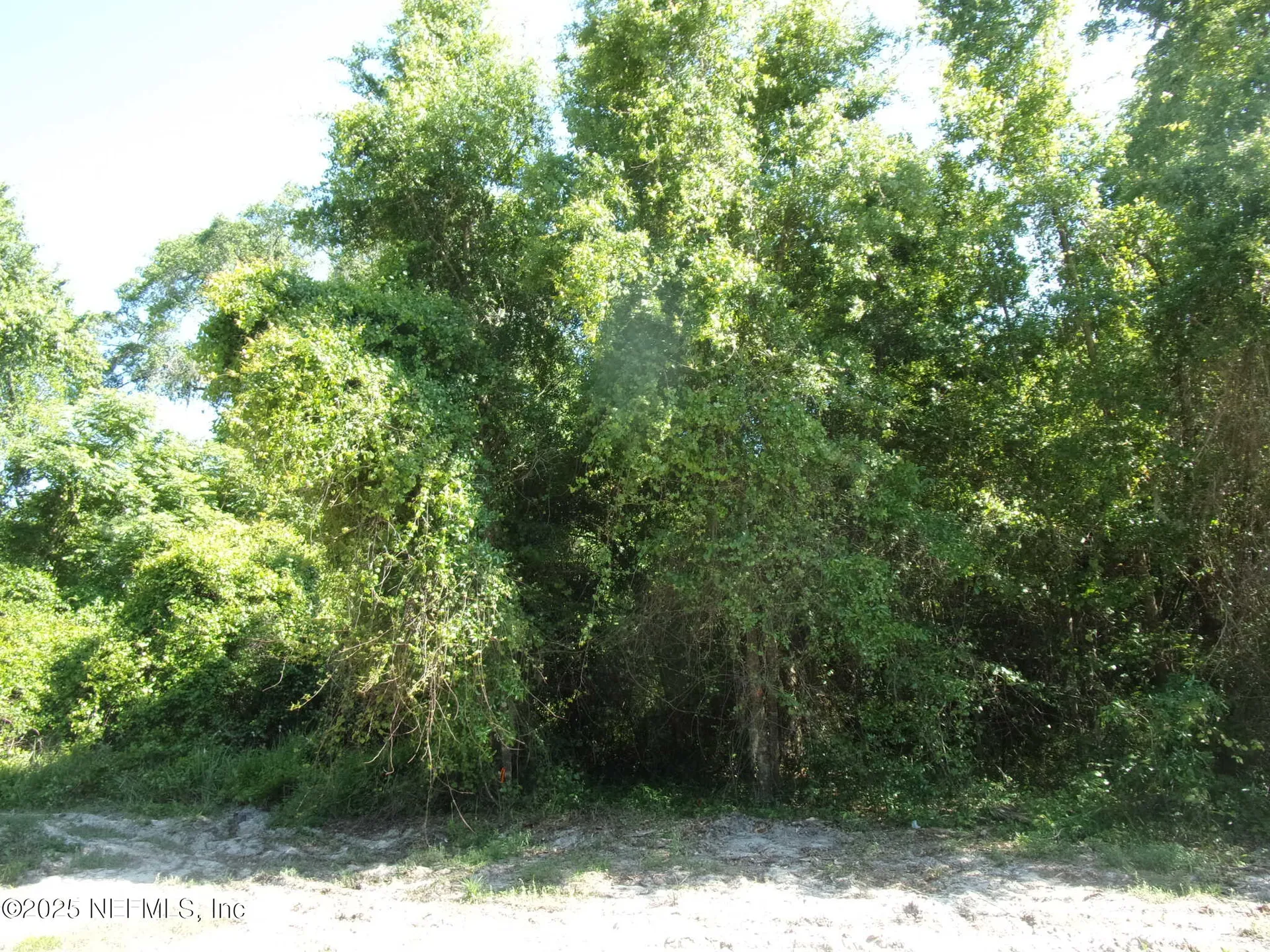 000 Edgemoor Trail Palatka FL 32177