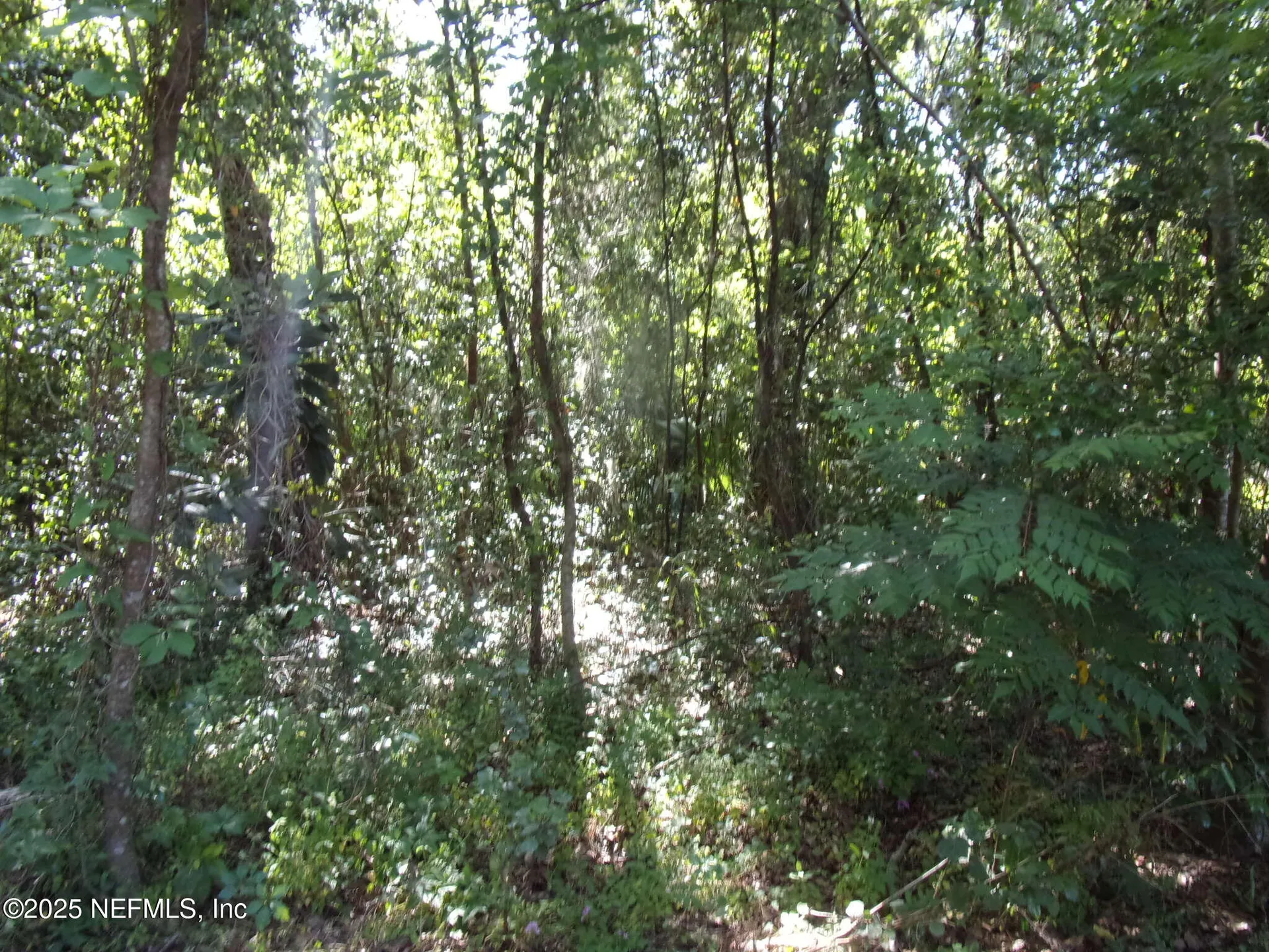 000 Edgemoor Trail Palatka FL 32177
