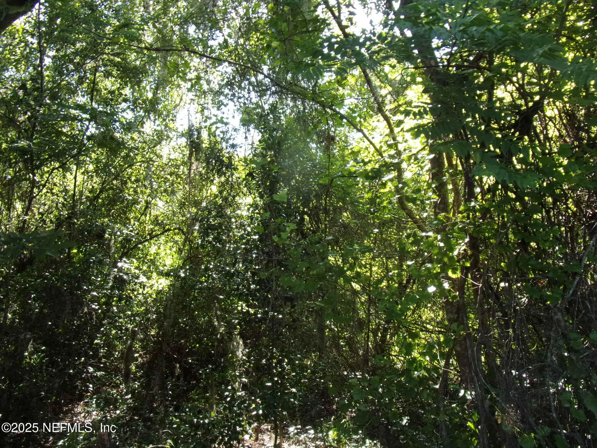 000 Edgemoor Trail Palatka FL 32177