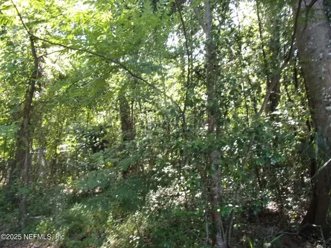 000 Edgemoor Trail Palatka FL 32177