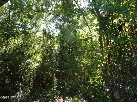 000 Edgemoor Trail Palatka FL 32177