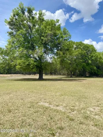 8046 SW Tustenuggee Avenue Lake City FL 32024