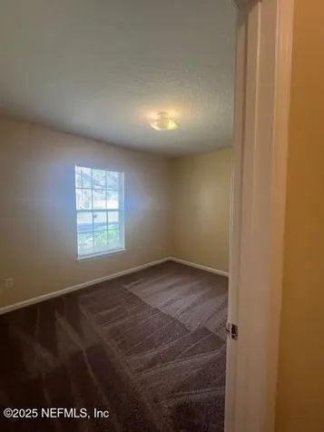 351 Brier Rose Lane Orange Park FL 32065