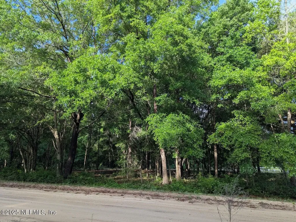 1315 Maltas Avenue Interlachen FL 32148