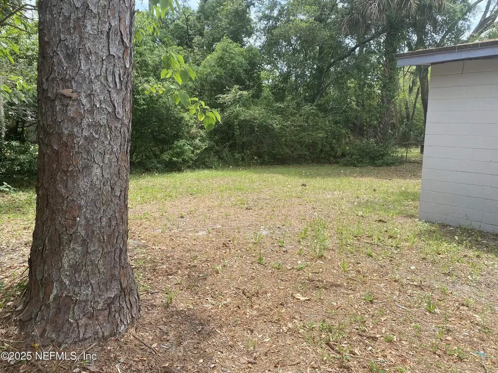 2552 Spirea Street Jacksonville FL 32209