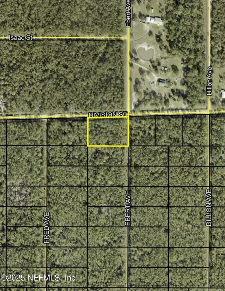 0 Ebert Avenue Hastings FL 32145