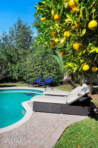 1407 Caddell Drive Jacksonville FL 32217